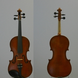 Unlabeled Violin